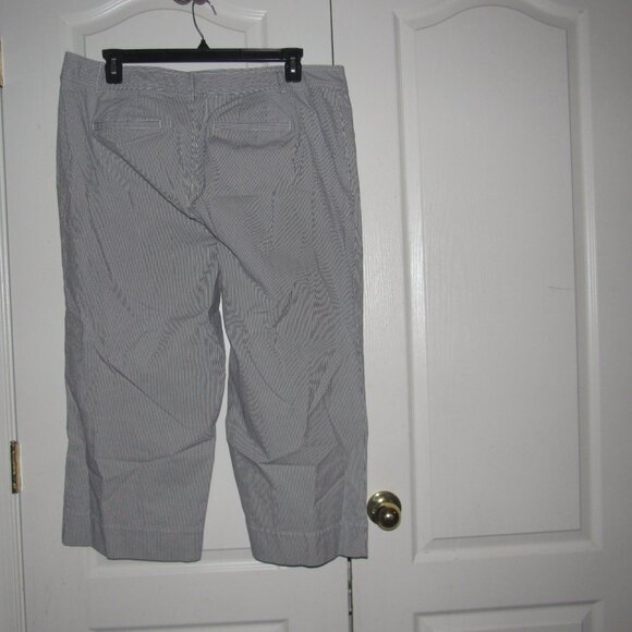 TALBOTS Wide Leg Crop Chino Stripe Pants Plus Size 18W - Picture 3 of 5
